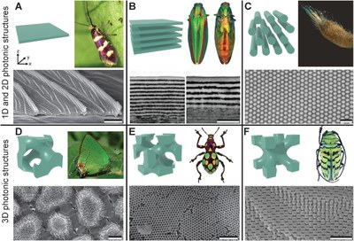 New review article published in Advanced Functional Materials!